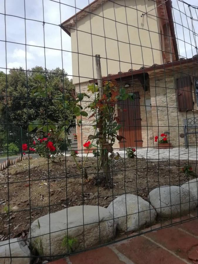 La Casetta Della Letizia Holiday home